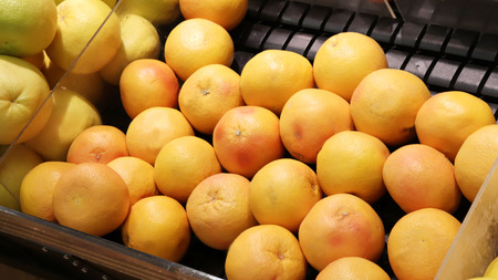 Grapefruit on saleの写真素材