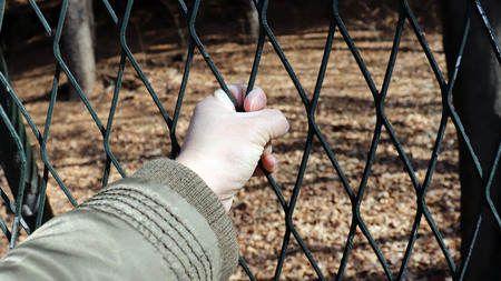 A hand holding barbed wire.の写真素材