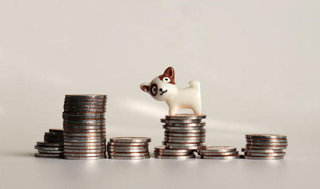 The pile of coins and a miniature dog.の写真素材