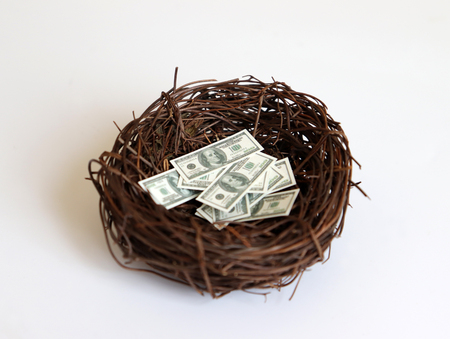 Dollar in a nest.の写真素材