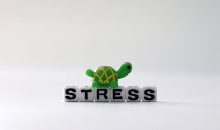 The word STRESS on white cubes with Miniature Turtle.