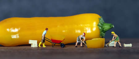 Yellow paprika and three miniature farmers. Concept about healthy ingredients.