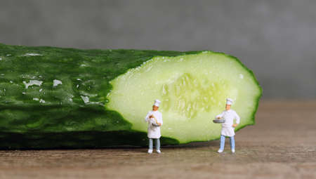 A cut cucumber and two miniature people. Business concept with a slice of cucumber and miniature people.の写真素材