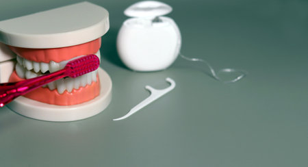 The concept of oral hygiene. Dental models and dental care tools on a gray background.