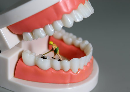 A miniature person in a tooth model. Person who takes care of teeth.の写真素材