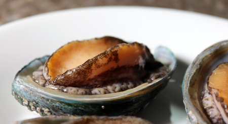 Korea's healthy abalone. Fresh abalone on a white plate.の写真素材