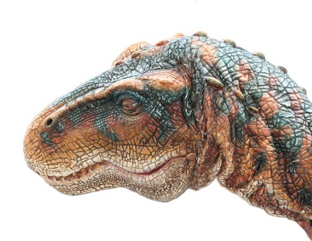 Dinosaurの写真素材