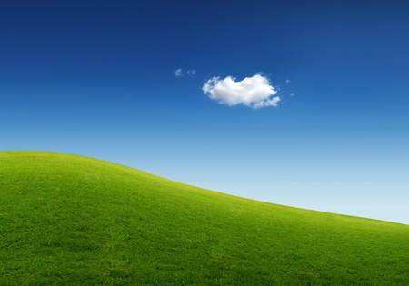 The grass with a blue skyの写真素材