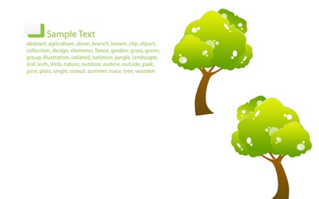 young green tree isolated on background white の写真素材