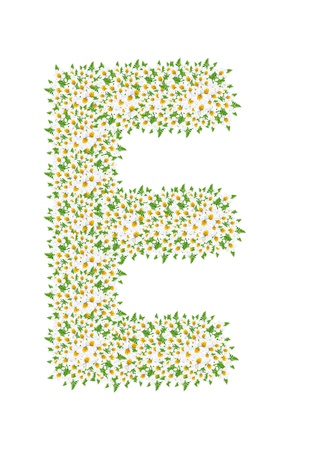 E, daisy flower alphabet isolated on white background の写真素材