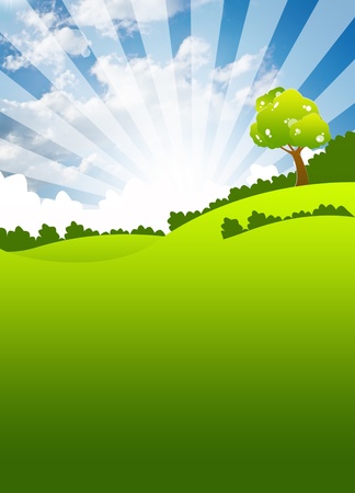 the grass with a blue sky の写真素材