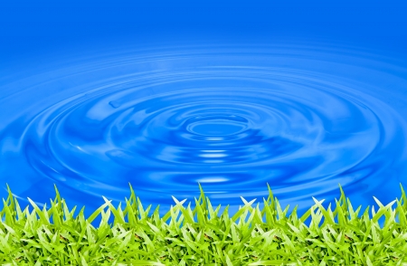 green grass in blue water の写真素材