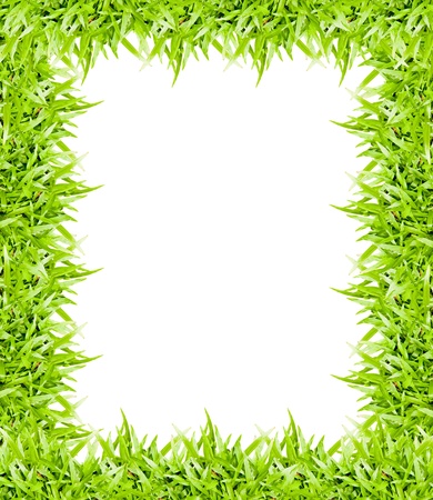 green grass frame isolated on white background の写真素材