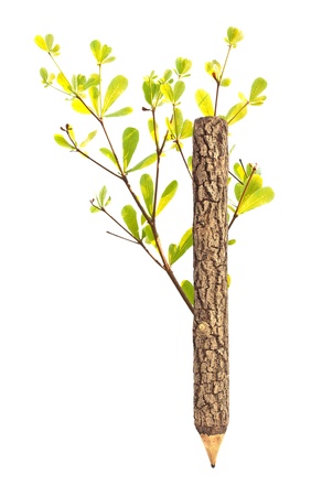 Green wooden pencil on a white background の写真素材