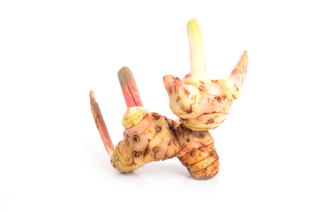 galangal. isolate on white backgroundの写真素材
