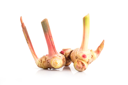 galangal. isolate on white backgroundの写真素材