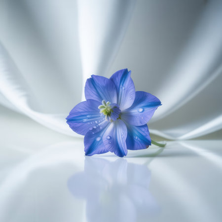 Beautiful blue flower on a white background with copy space for textの素材