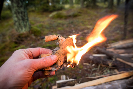 Burning birch bark tinder in the forest, held by hand. The oil in the birch bark makes it burn a lot.の写真素材