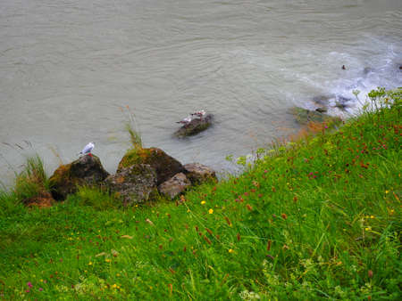 Spring timeの写真素材