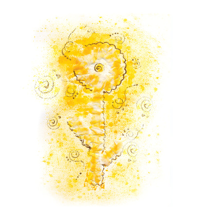 drawn on paper and color yellow flowerの写真素材