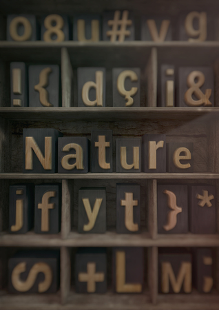 Nature - Wood block letters. 3d render