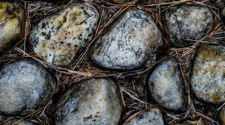 Tropical laterite soil or red earth background with gray rocks and dry dead plants. Top viewの写真素材