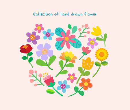 Hand drawn spring flower collectionのイラスト素材