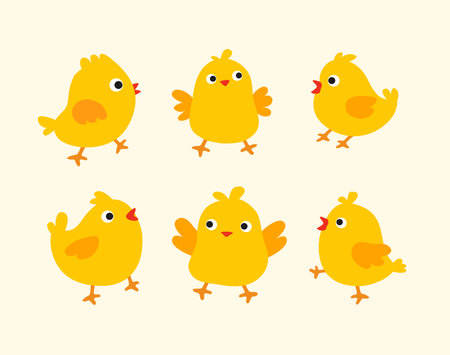 Vector coloured chick collectionのイラスト素材