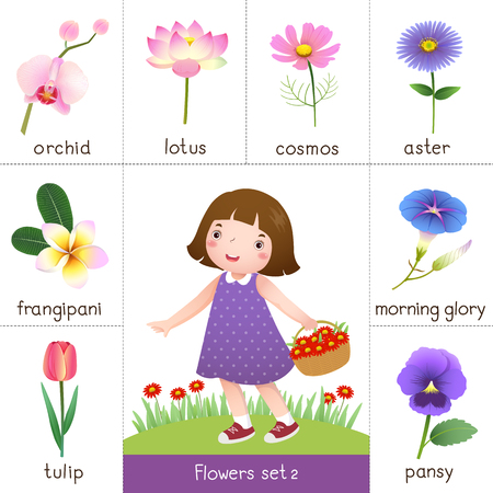 Illustration of printable flash card for flowers and little girl picking flowerのイラスト素材