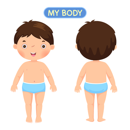 Vector illustration of a boy showing parts of the bodyのイラスト素材
