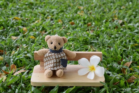 Outdoors relaxing with bear toys sitting on wooden chairの写真素材
