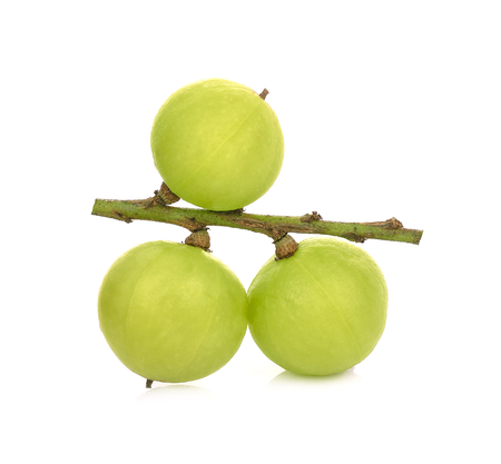 gooseberries on white backgroundの写真素材