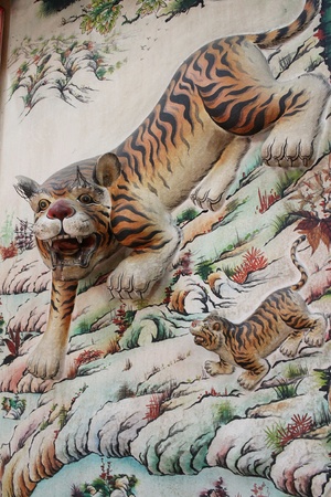 Drawing a tiger.の写真素材