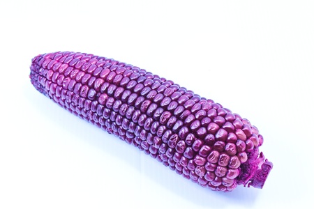 purple cornの写真素材