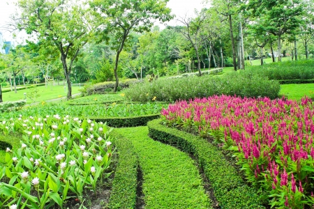 Pretty manicured flower garden with colorfulの写真素材