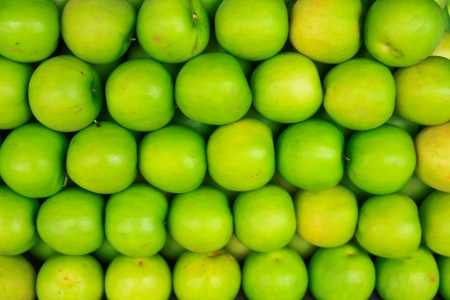 fresh jujube fruitの写真素材