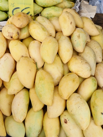 yellow mangoesの写真素材