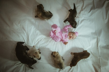 Image of cute little girl in pink suit and puppies on white background. Newborn baby, caucasian...