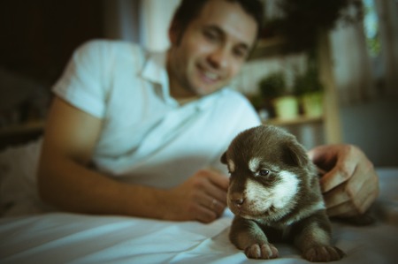 Image of cute little puppy in hands of young man closeup indoor.の写真素材