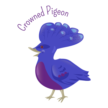 Crowned pigeon isolated on white background. Goura cristata, scheepmakeri, victoria. Western, southern and victoria types. Part of series of various australian animal species. Wildlife concept. Vectorのイラスト素材
