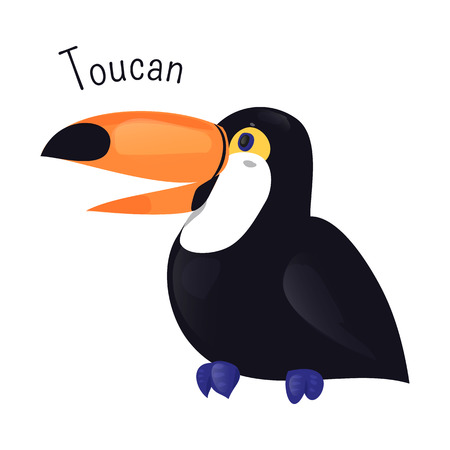Toucan cartoon bird isolated on white. Ramphastidae of near passerine birds from the Neotropics. Fauna. Child fun pattern icon. Part of series of various bird species. Wildlife concept. Vectorのイラスト素材