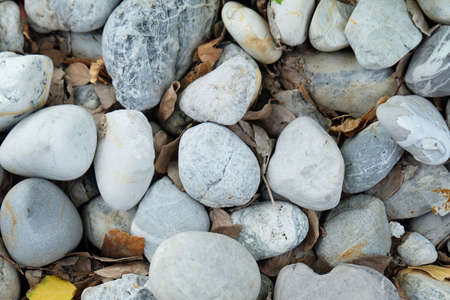 The stone on the groundの写真素材