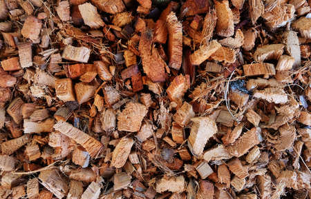 Debris of coconut spathe