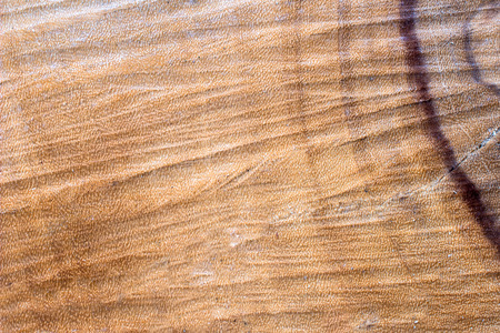cut tree trunk scored surface texture backgroundの写真素材