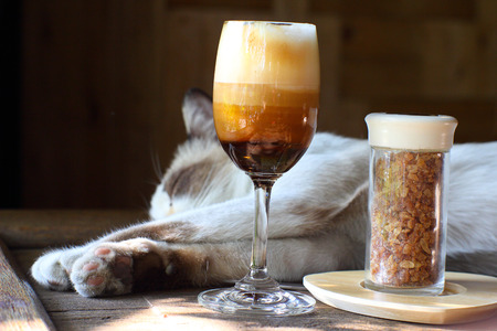 Irish coffee cocktail in a glass with sleeping catの写真素材