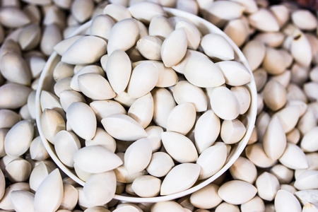 Gikgo in the cupの写真素材