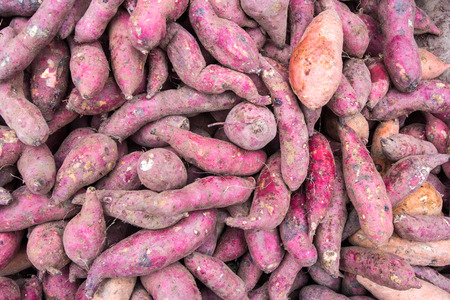 Sweet Potatoes Backgroundの写真素材