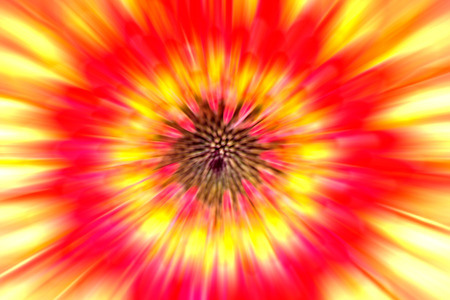 Orage and yellow Gerbera blur abstract backgroundの写真素材