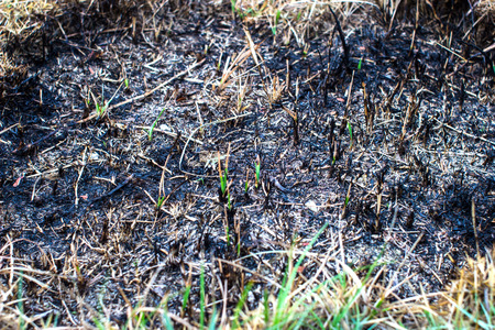 Burning grassの写真素材