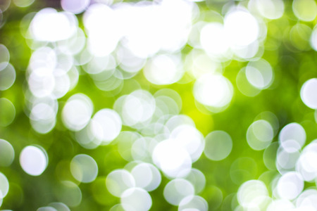 Green and white Bokeh